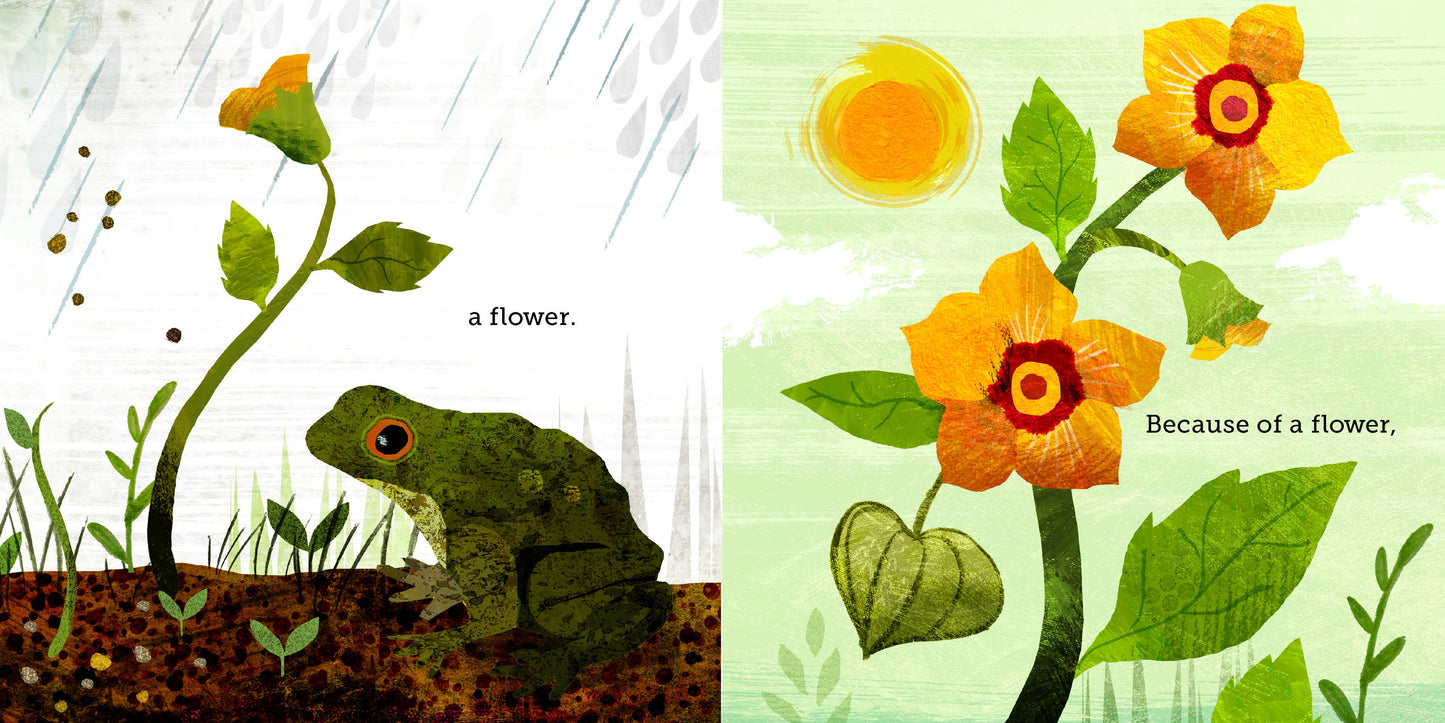 Book: Because of an Acorn