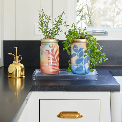Herb Garden Jar