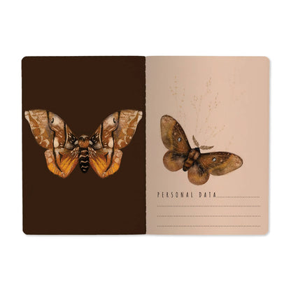 Butterflies on Blush Notebook