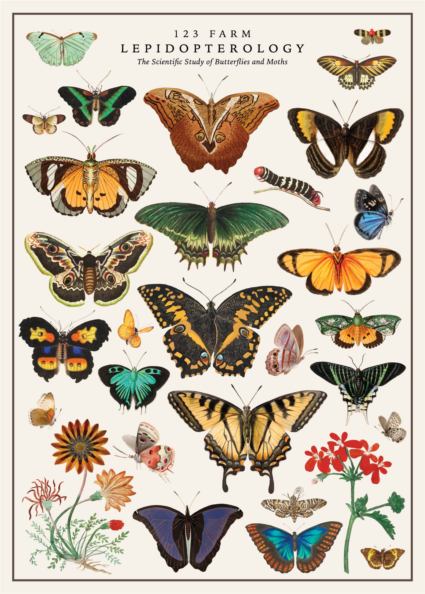 Vintage Posters Wrapping Paper - Butterfly