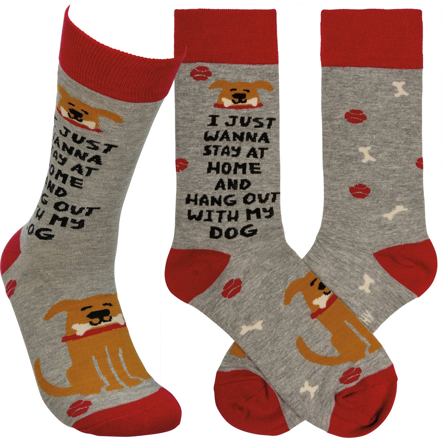 I Just Wanna Hang With My Dog Socks