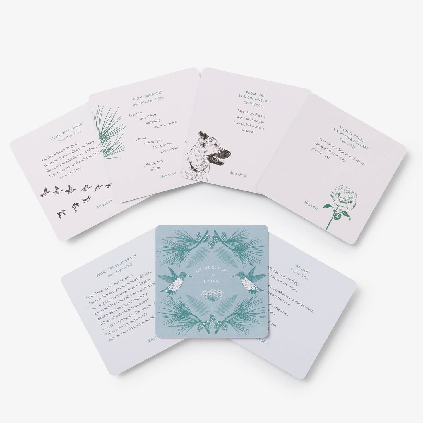 Instructions for Living