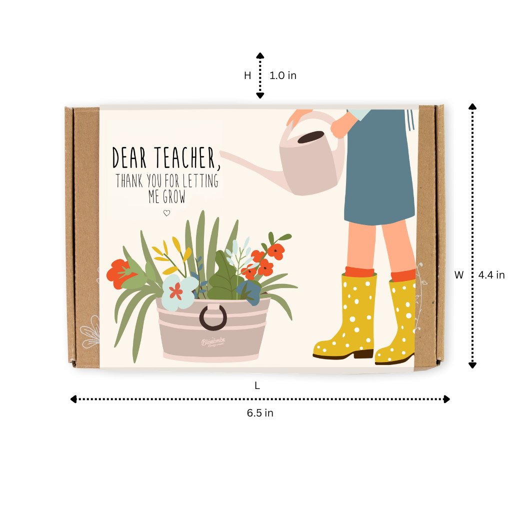 Small Dear Teacher Seed Bomb Box | Wildflower Balls