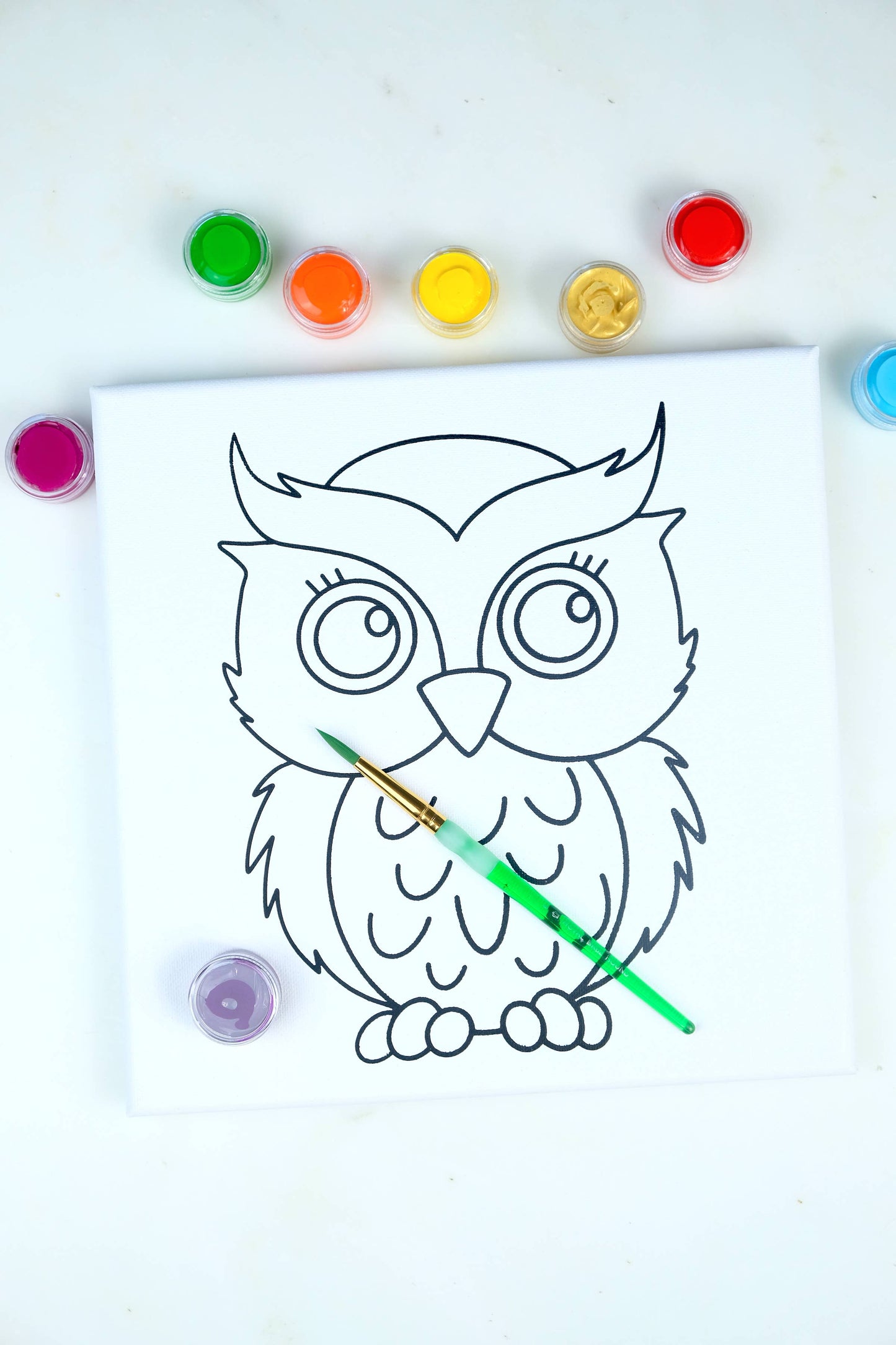 Canvas Painting Kit - Owl