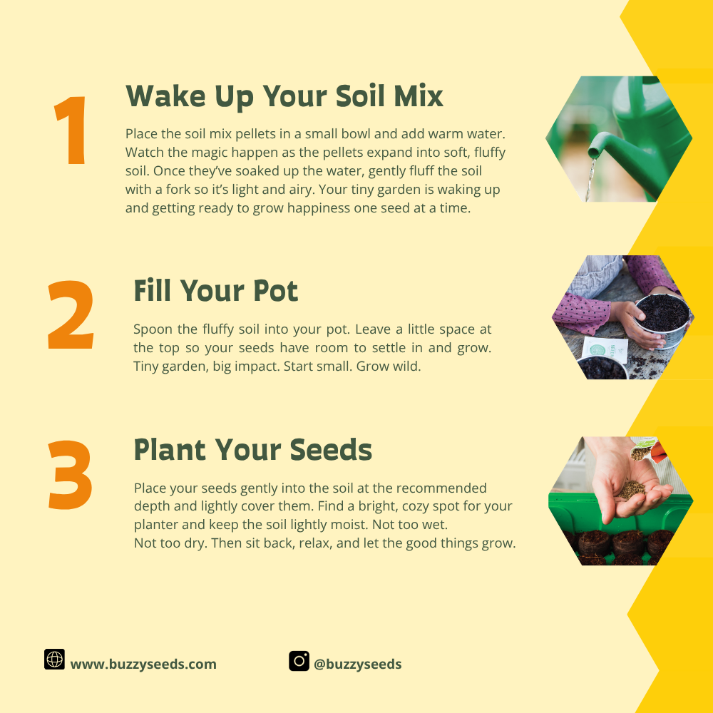 Small Dear Teacher Seed Bomb Box | Wildflower Balls