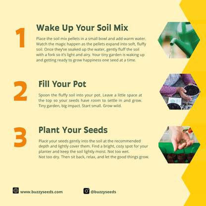 “A Gift for You” Wildflower Egg Carton | 6 Seed Balls