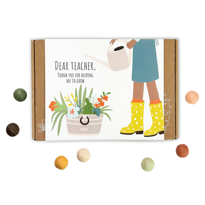 Small Dear Teacher Seed Bomb Box | Wildflower Balls