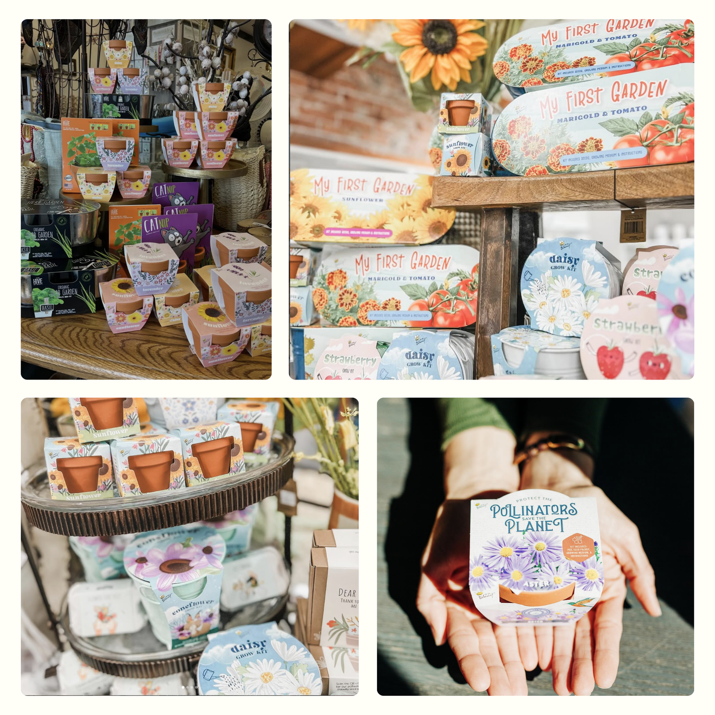 Small Dear Teacher Seed Bomb Box | Wildflower Balls