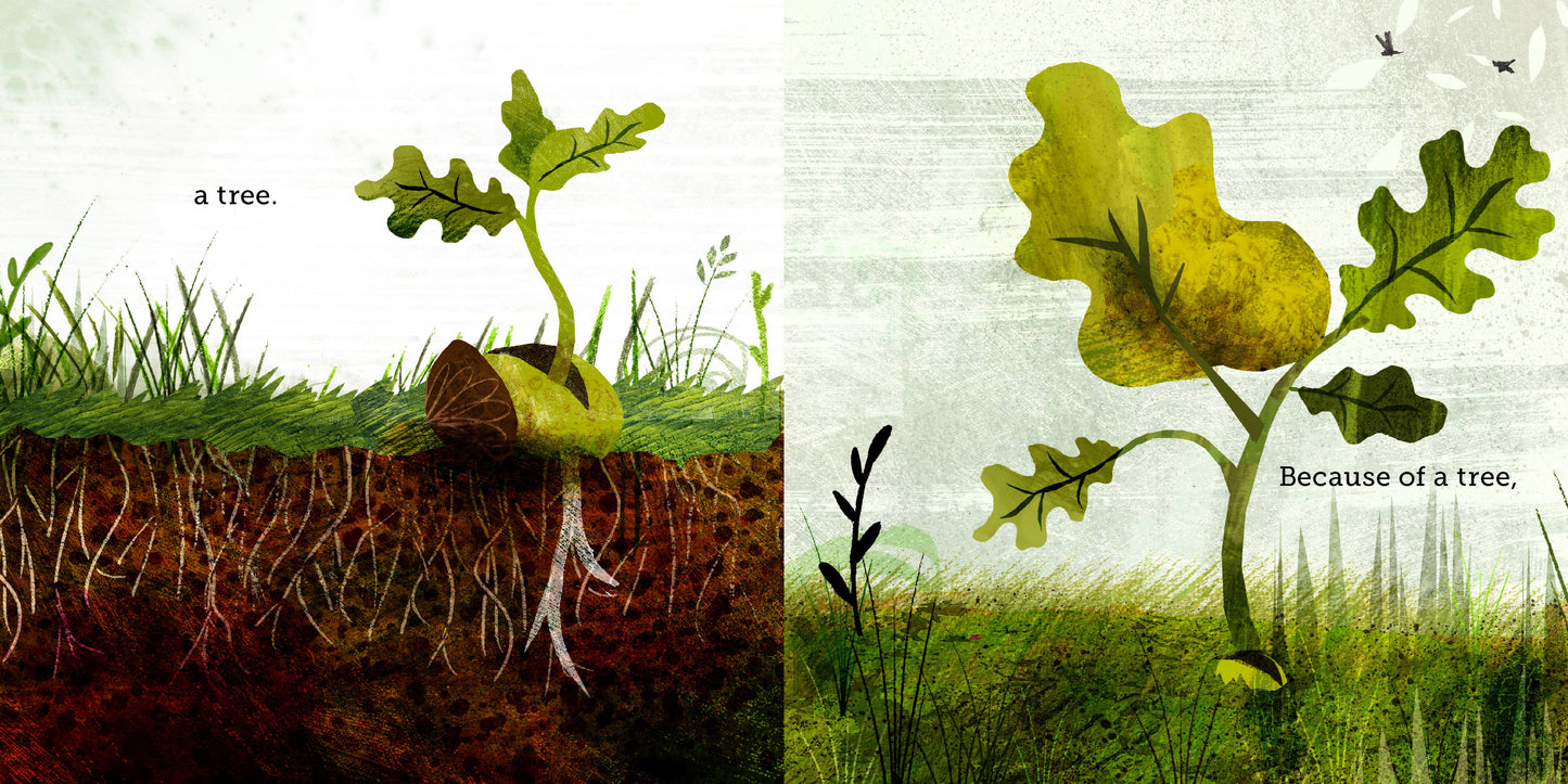 Book: Because of an Acorn