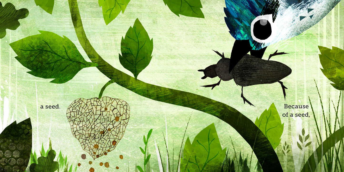 Book: Because of an Acorn