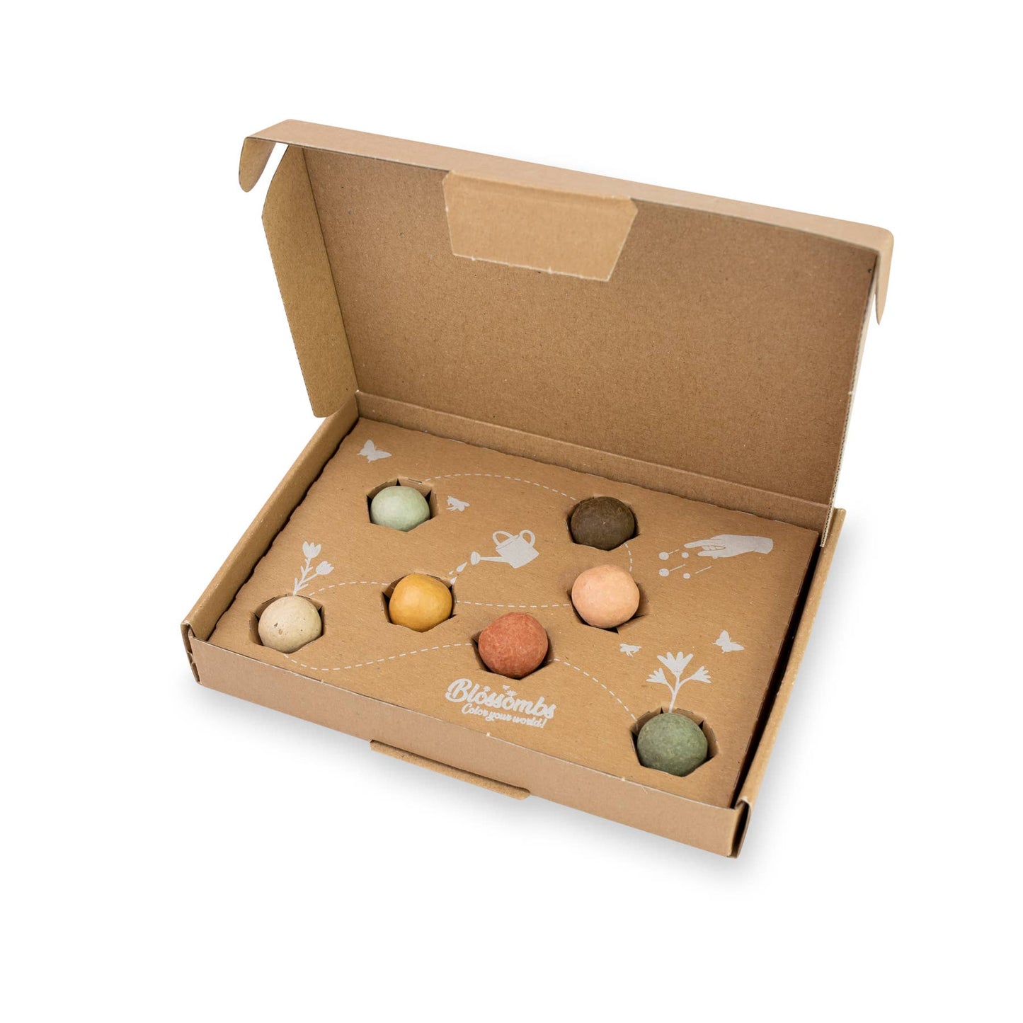 Small Dear Teacher Seed Bomb Box | Wildflower Balls