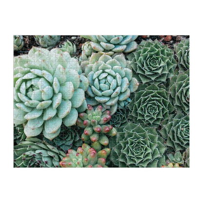 Succulent Garden 2-sided 500 Piece Puzzle