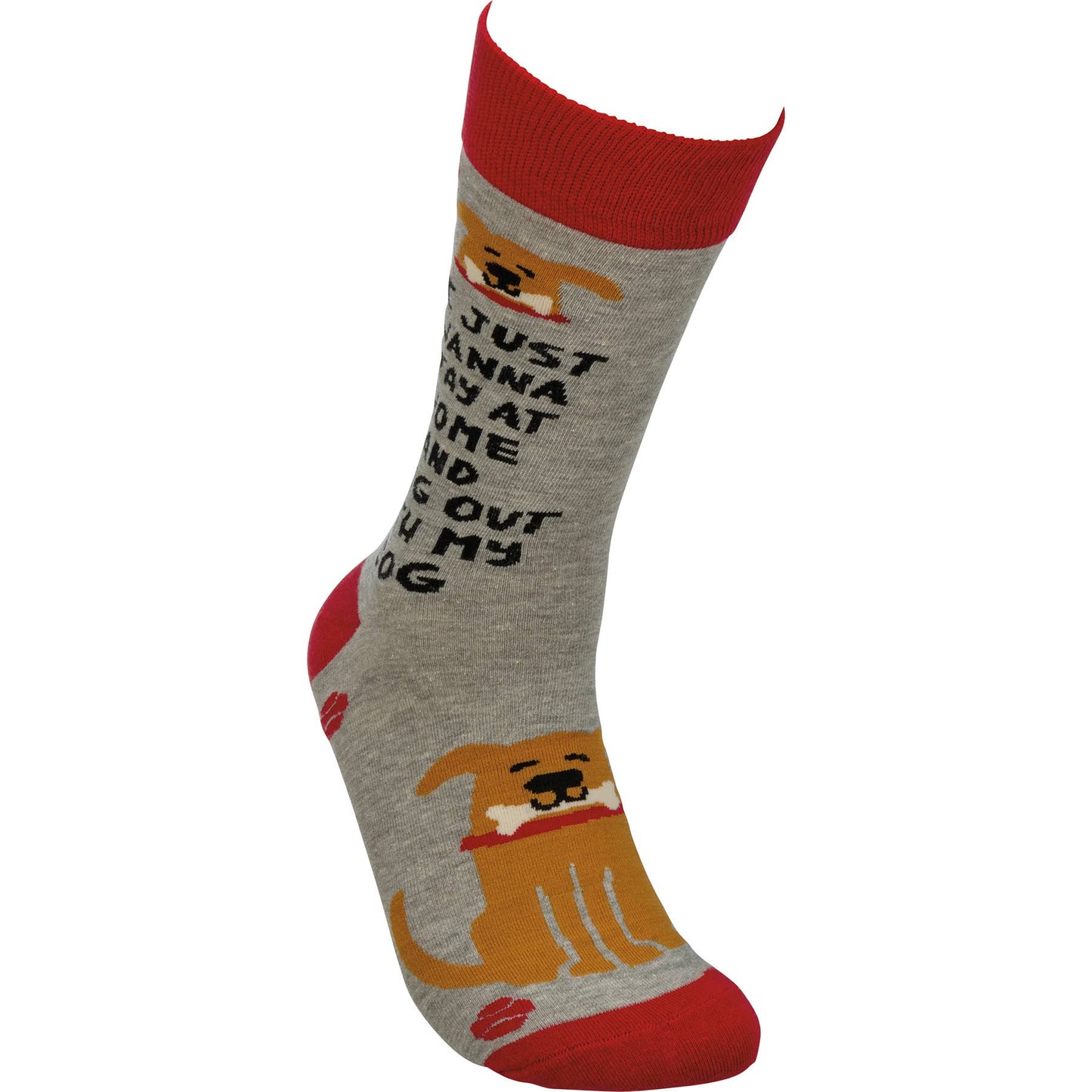 I Just Wanna Hang With My Dog Socks