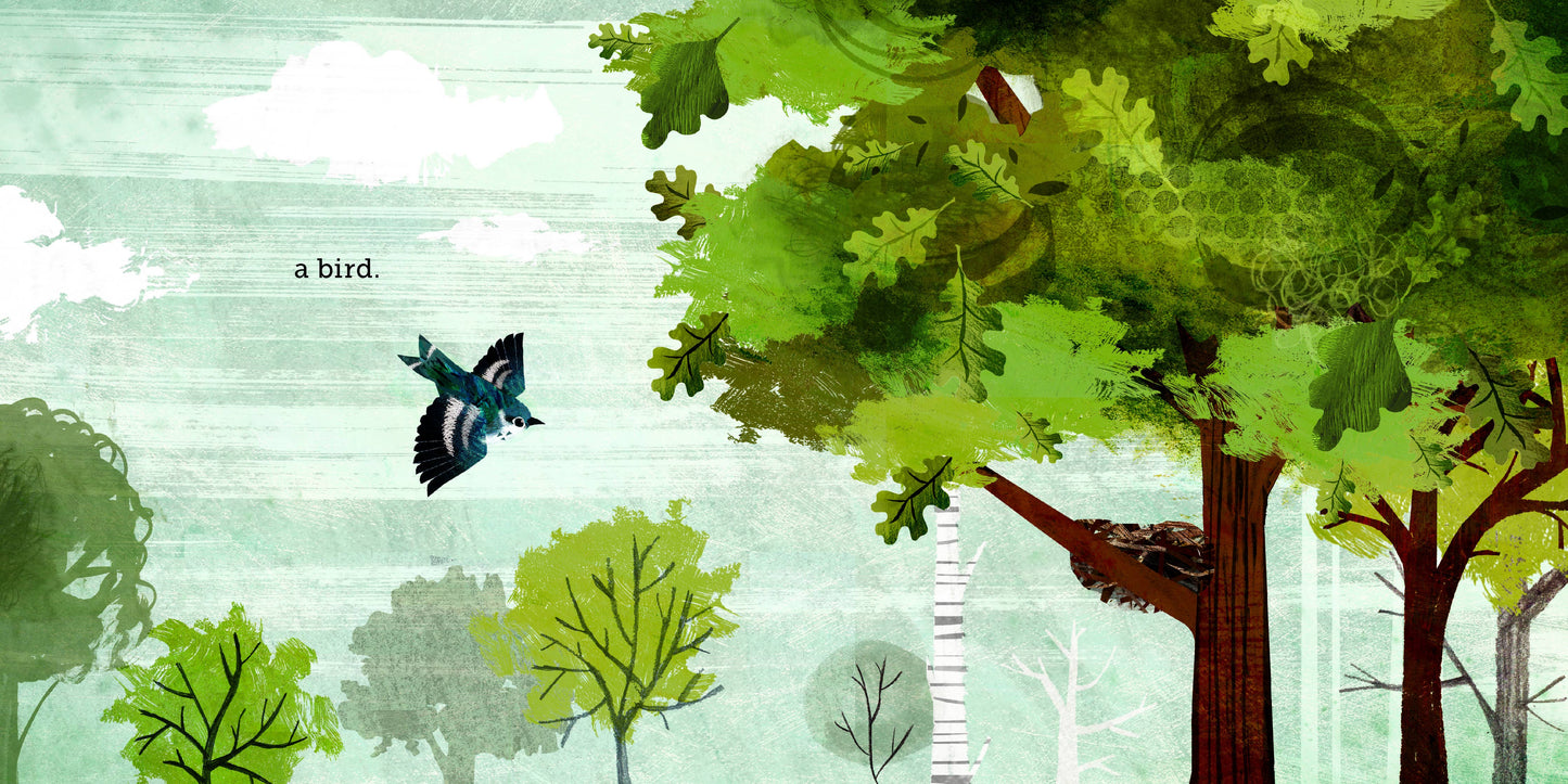 Book: Because of an Acorn