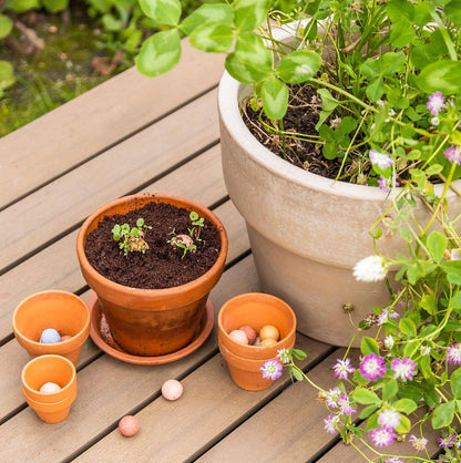 Small Dear Teacher Seed Bomb Box | Wildflower Balls